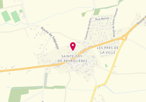Plan de PINEL Camille, 8 Bis Allée Platanes, 31470 Sainte-Foy-de-Peyrolières