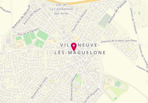 Plan de PORRY Audrey, 81 Rue de la Jeunesse, 34750 Villeneuve-lès-Maguelone