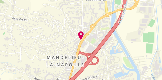 Plan de BIAU Christine, 707 Avenue de Cannes, 06210 Mandelieu-la-Napoule