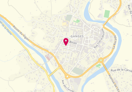 Plan de PELLEGRIS Armelle, 20 Cours de la République, 34190 Ganges