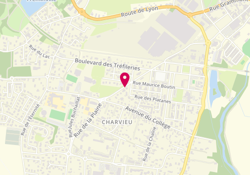 Plan de ROUBIN GIRAUD SYLVAINE, 29 Avenue Alexandre Grammont, 38230 Charvieu-Chavagneux