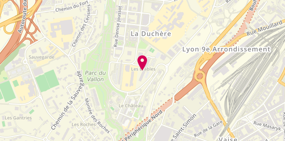 Plan de RUIZ Marilyn, 256 Rue des Érables, 69009 Lyon