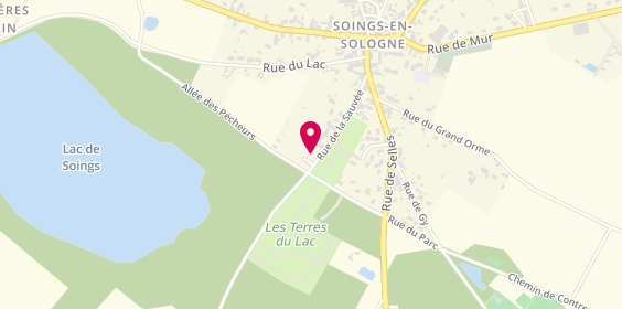 Plan de DION Emilie, 14 Rue de la Sauvee, 41230 Soings-en-Sologne