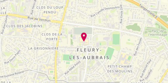 Plan de POTHAIN Nathalie, 2 Rue G. Philipe, 45400 Fleury-les-Aubrais