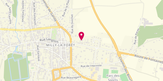Plan de LAMOUREUX Delphine, 17 Avenue du General Leclerc, 91490 Milly-la-Forêt