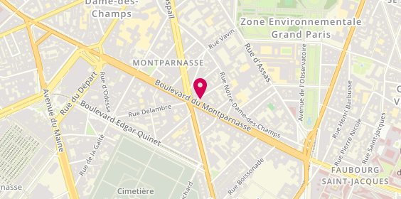 Plan de TERRONES Marion, 117 Boulevard de Montparnasse, 75006 Paris