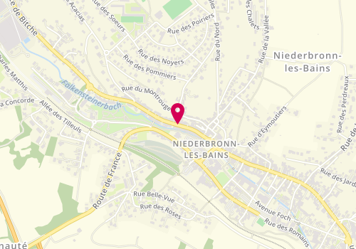 Plan de SCHREIBER Pascale, 30 Rue de la République, 67110 Niederbronn-les-Bains